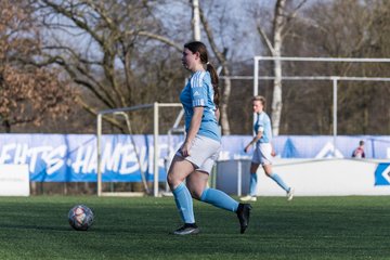 Bild 242 - F Hamburger SV 3 - Blau-Weiss 96 : Ergebnis: 5:1